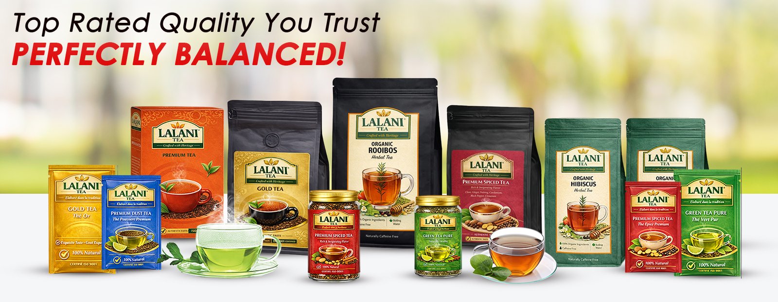 lalani tea banners file 04 i.jpg
